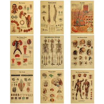 51x35cm İskelet Vücut Yapısı Beyin Sinir Posteri Tıbbi Oda Dekor Boyama Kraft Kağıt Duvar Sticker