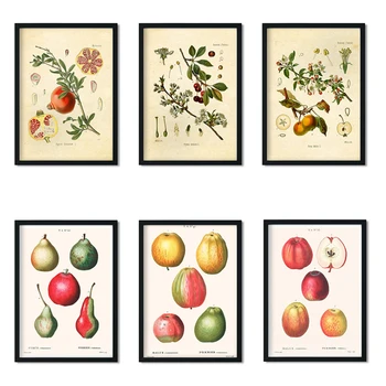 Retro İskandinav Meyve Bitkileri Resim Duvar Sanatı HD Boyama Kreş Çocuk Odası Karikatür Boyama Ev Dekor posterleri tuval boyama